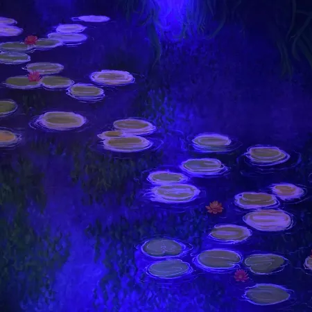 Rosa Blu ホテル ティラナ